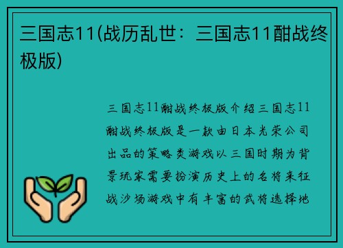 三国志11(战历乱世：三国志11酣战终极版)